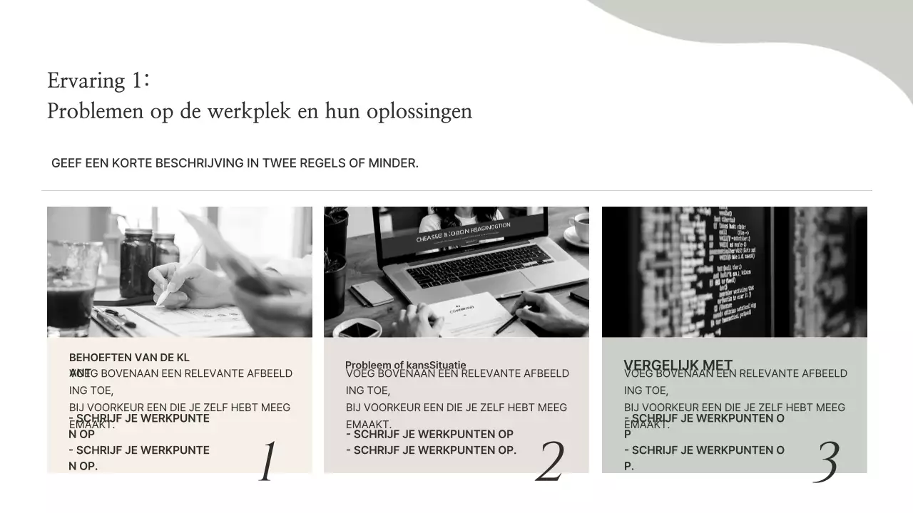 Beige Minimal Portfolio-informatie