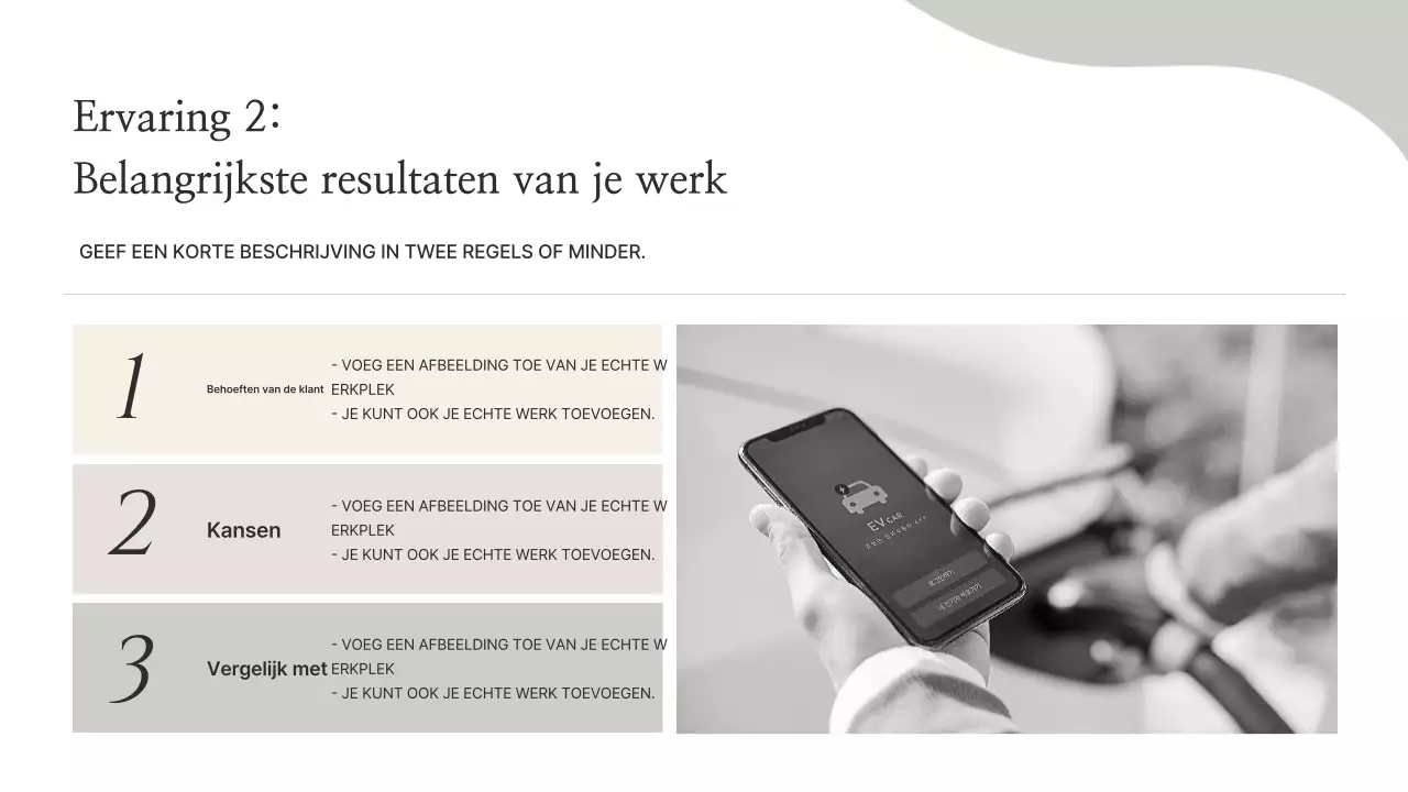 Beige Minimal Portfolio-informatie