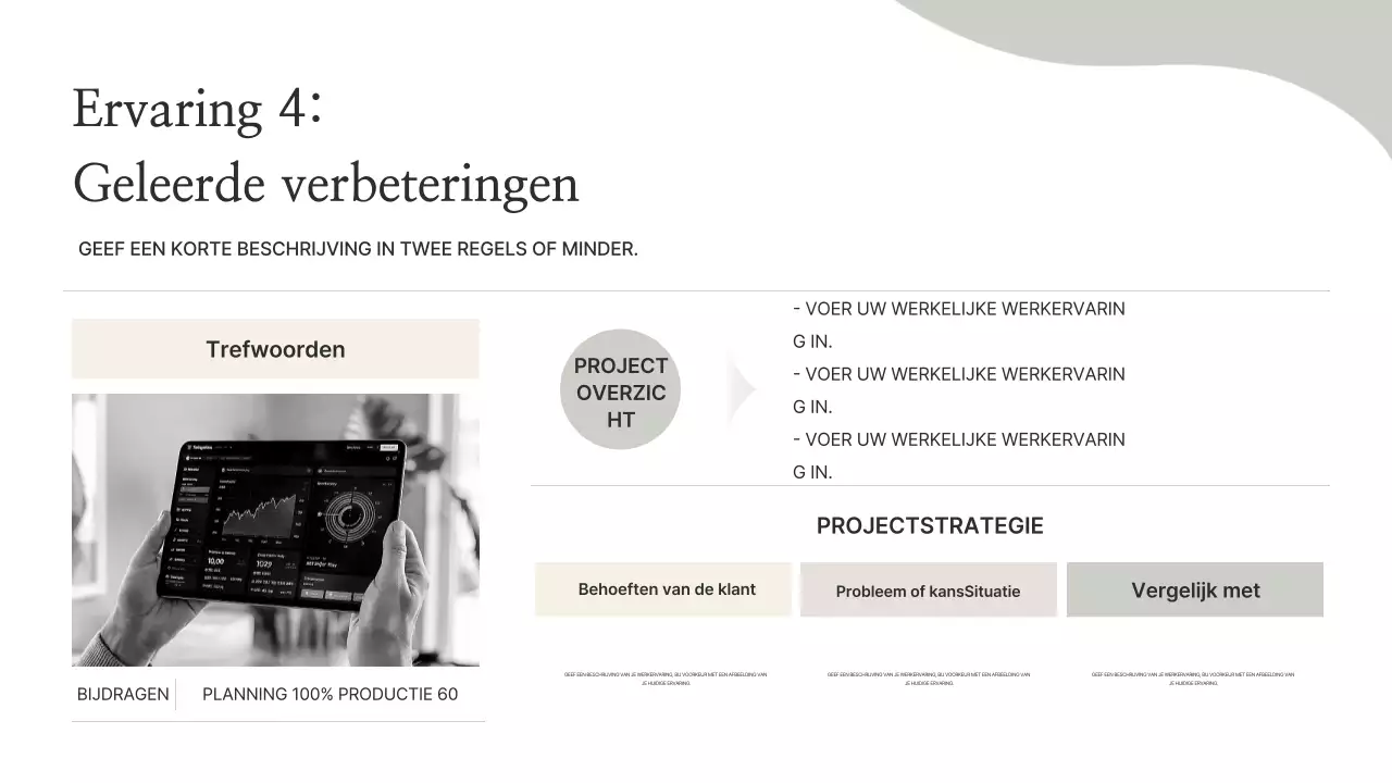 Beige Minimal Portfolio-informatie