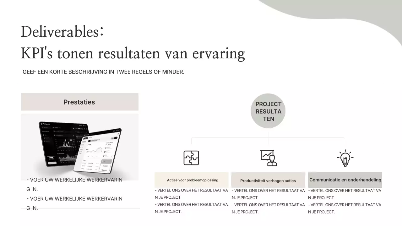 Beige Minimal Portfolio-informatie