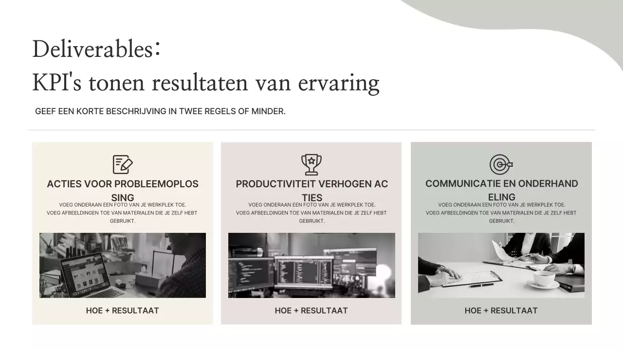 Beige Minimal Portfolio-informatie