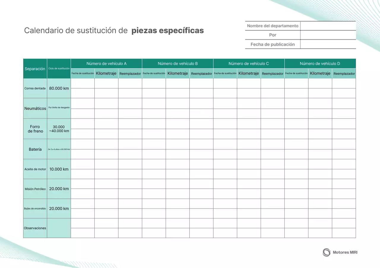 Manual de mantenimiento del coche Mint Clean