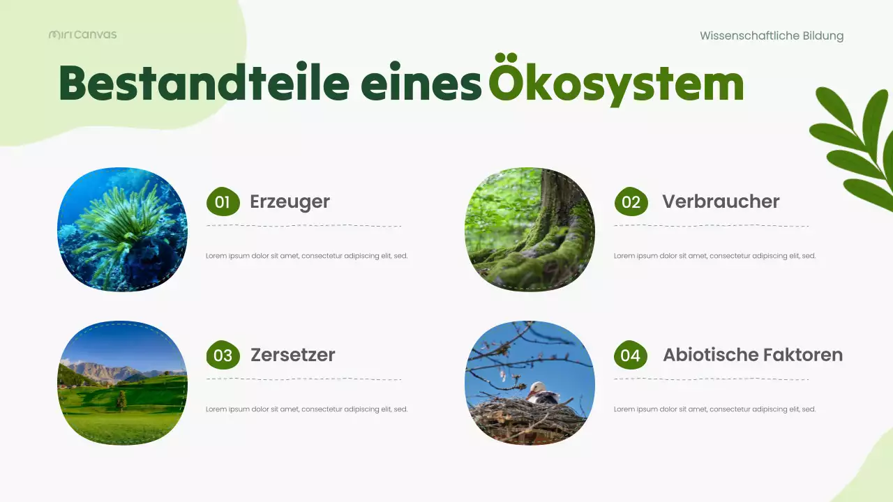 Grüne moderne Biologie-Wissenschaftsvorlesung Präsentation