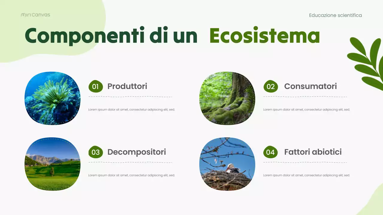 Presentazione della lezione di biologia moderna verde