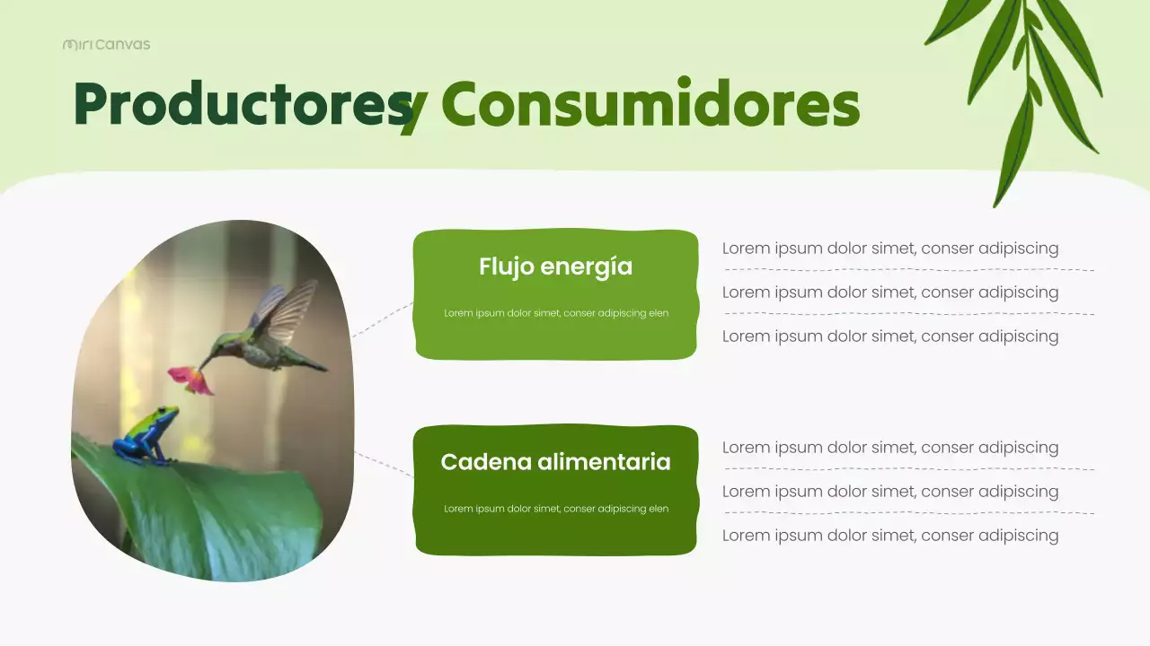 Presentación de la conferencia científica sobre biología moderna verde