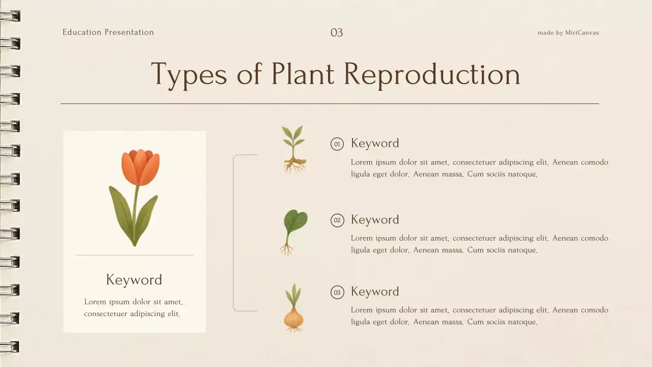 Bài giảng về thực vật thực vật màu be