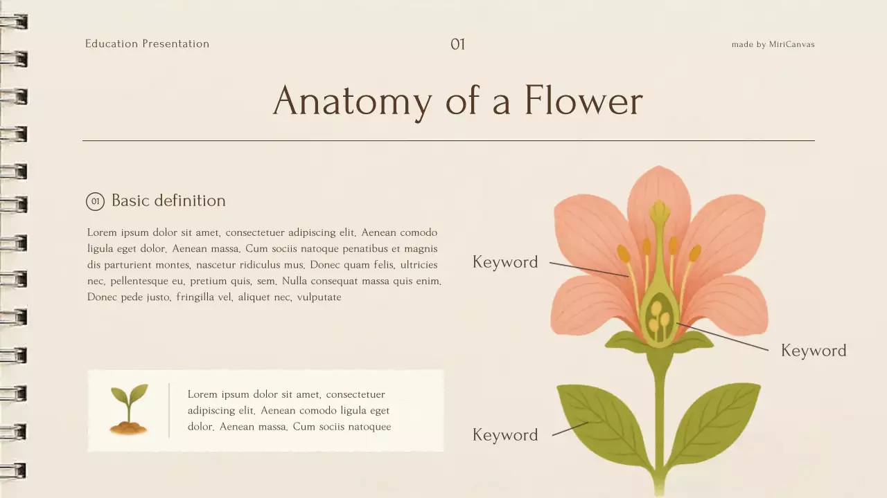 Bài giảng về thực vật thực vật màu be