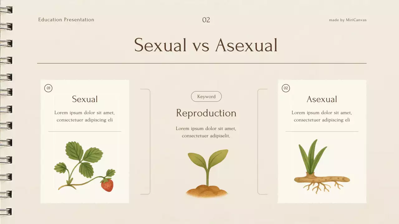 Bài giảng về thực vật thực vật màu be