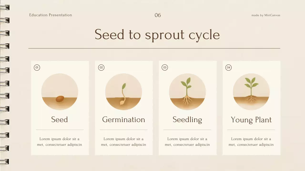 Bài giảng về thực vật thực vật màu be