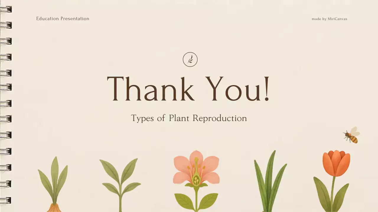 Bài giảng về thực vật thực vật màu be