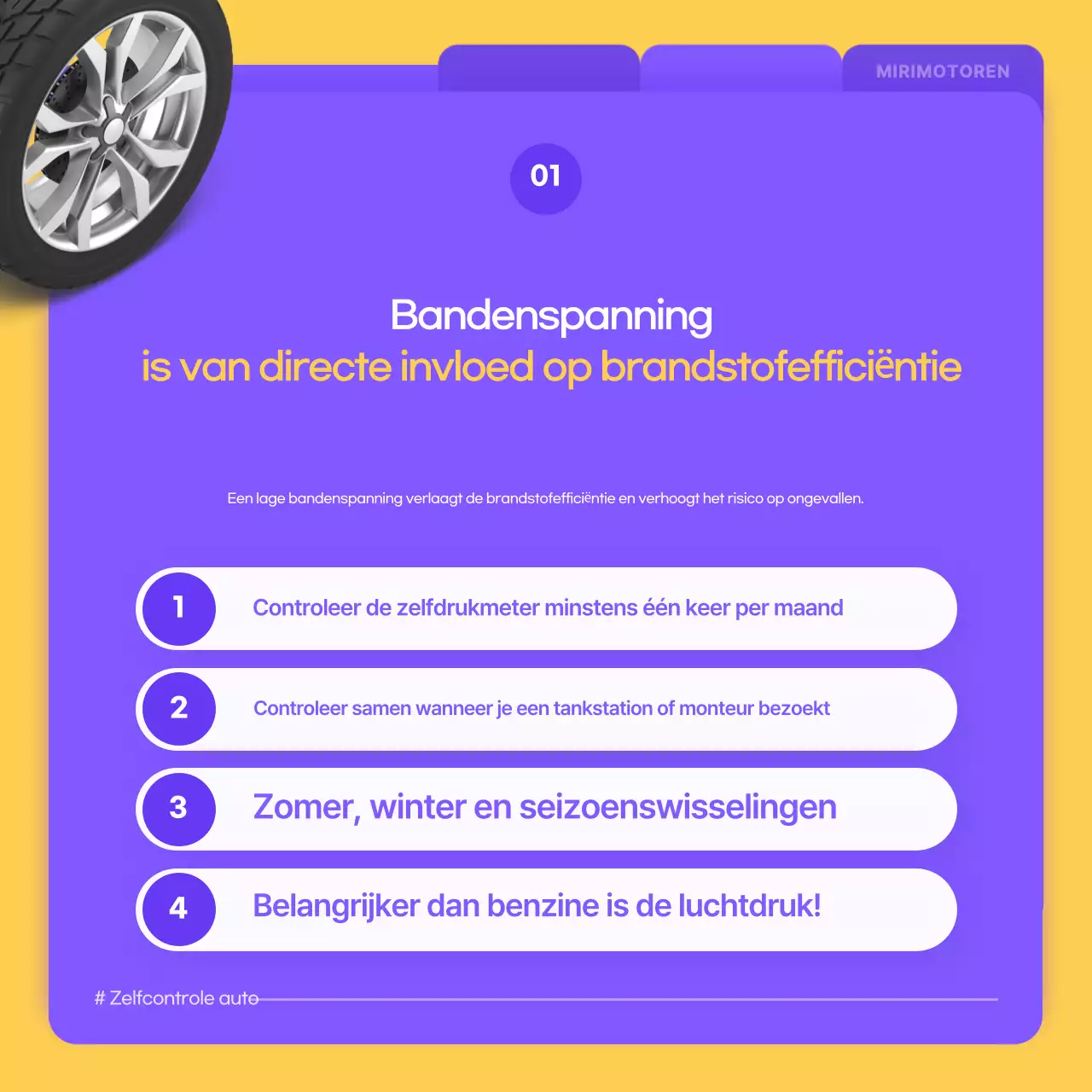 Eenvoudige Bora-autogids