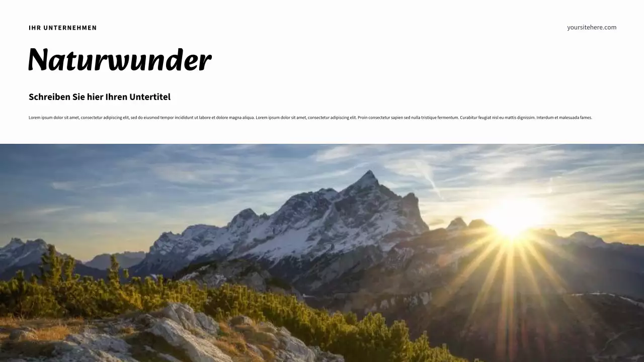 Modernes „My State Report“-Dokument in Beige und Marineblau