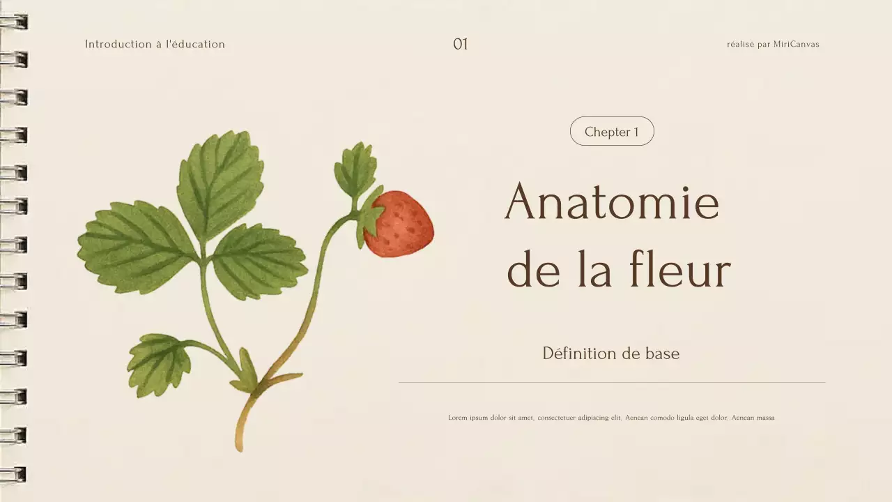 Présentation de la conférence sur les plantes botaniques beiges