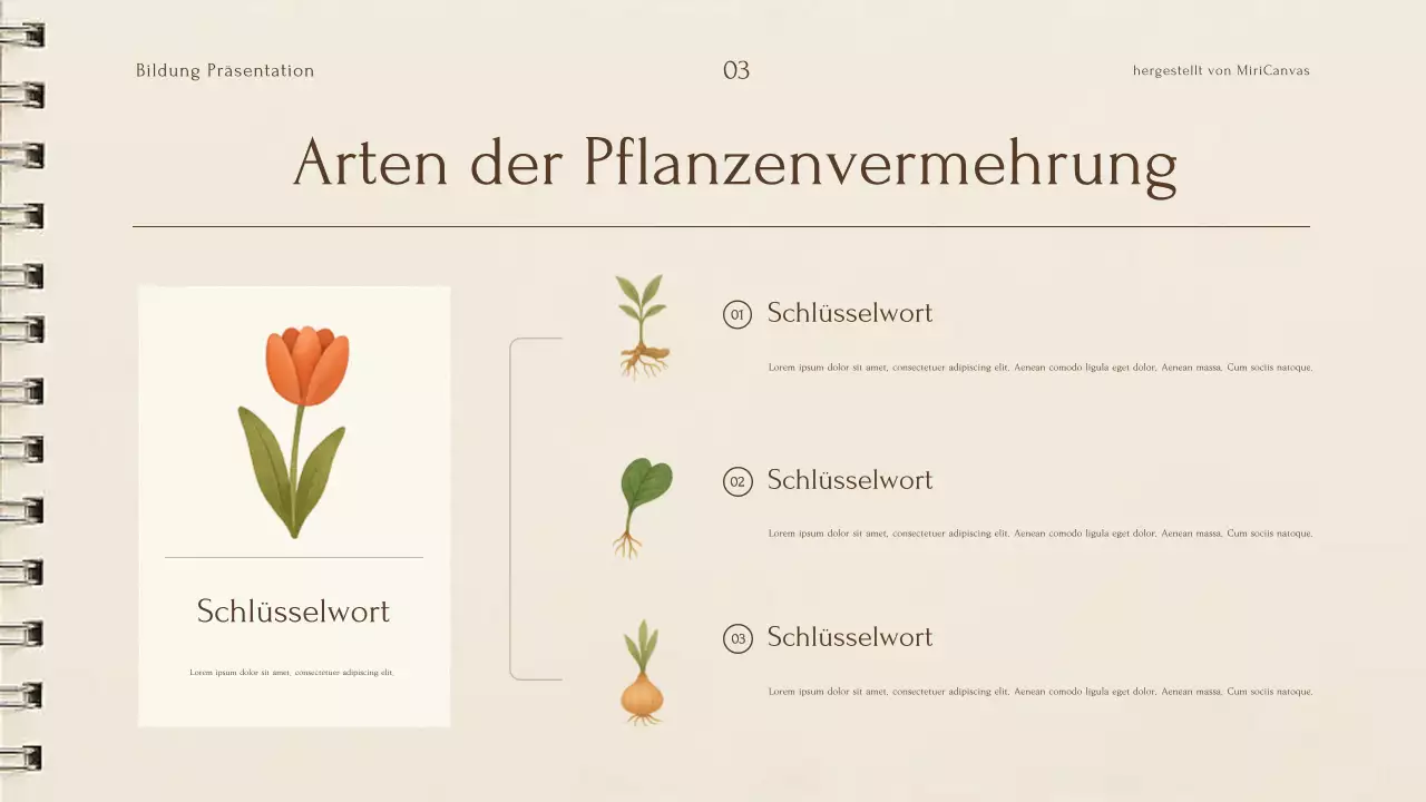 Beige botanische Pflanzenvorlesung Präsentation