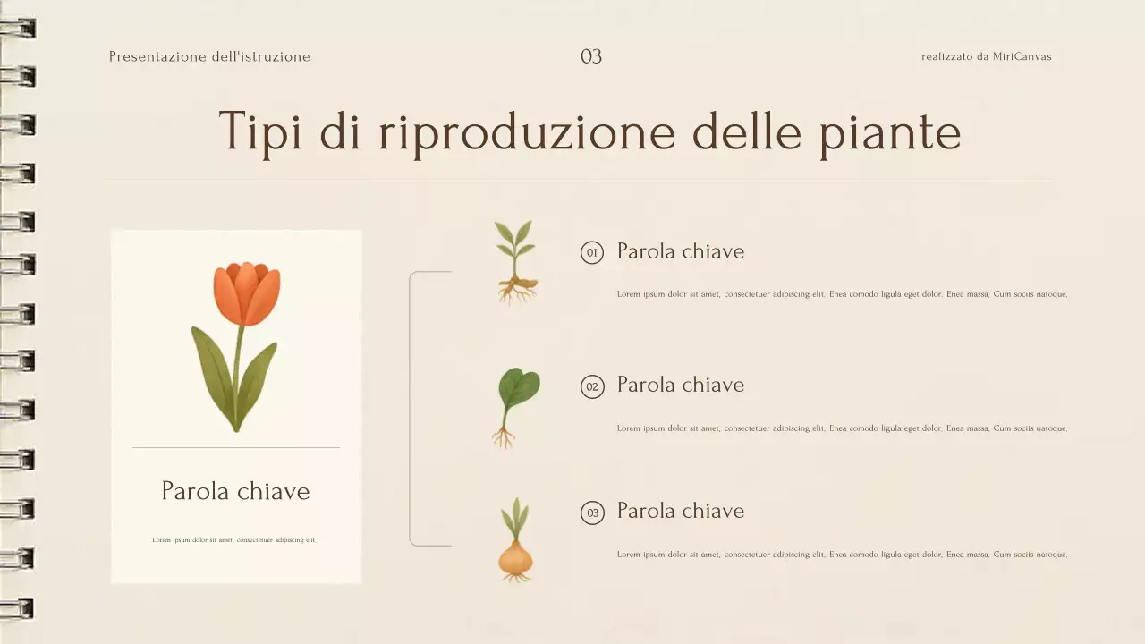Presentazione della conferenza botanica sulle piante beige