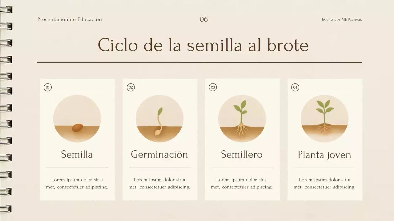 Presentación de la conferencia sobre plantas botánicas beige