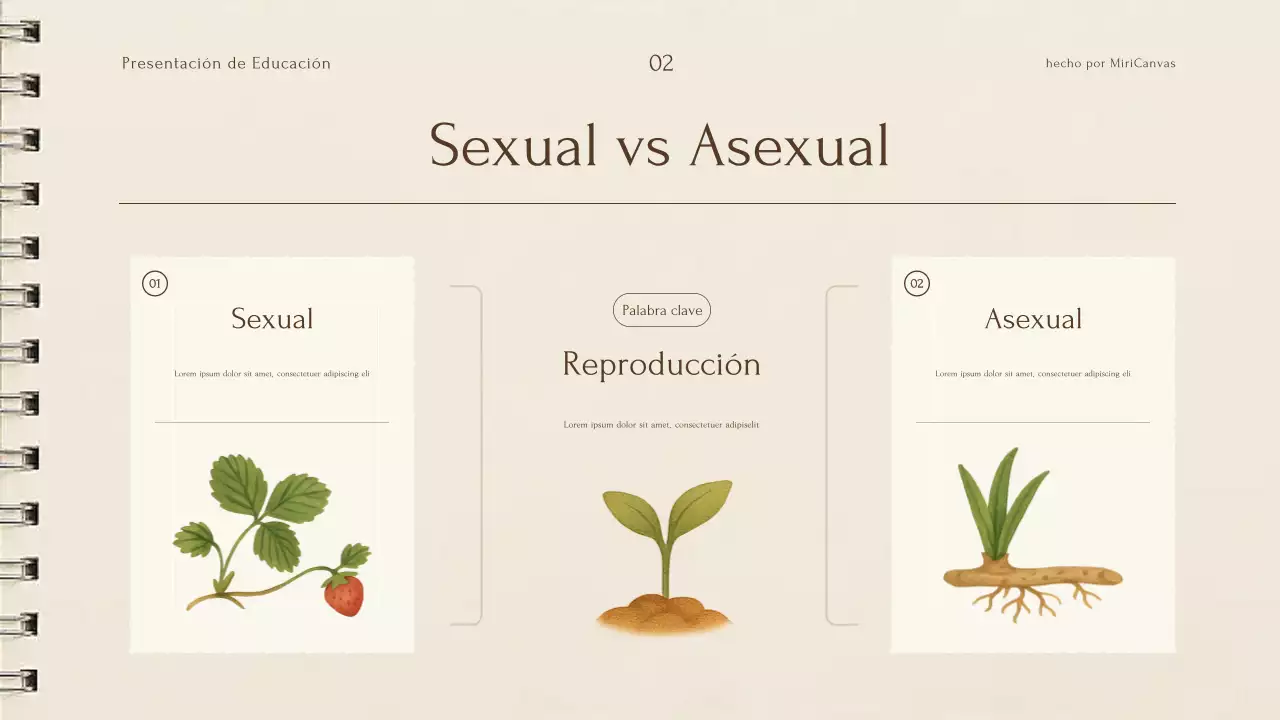 Presentación de la conferencia sobre plantas botánicas beige