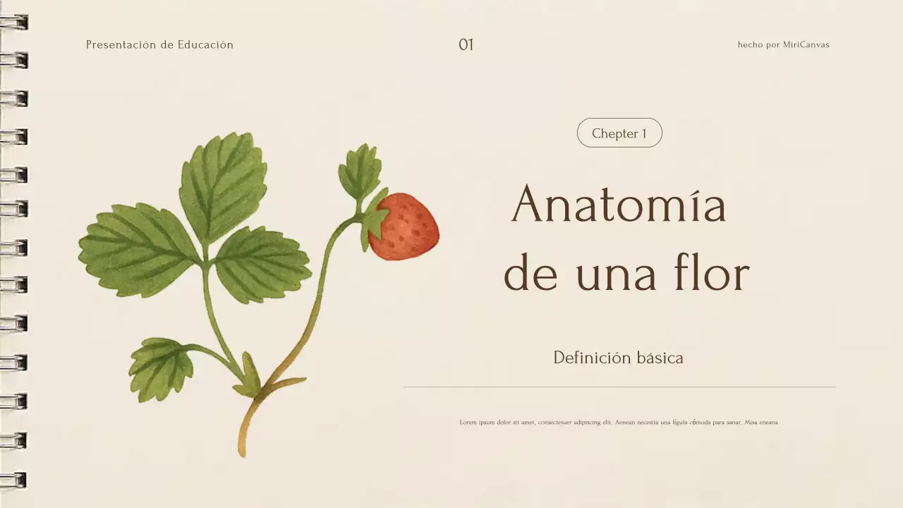 Presentación de la conferencia sobre plantas botánicas beige