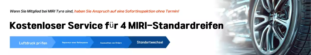 Anzeige zur Autoinspektion „Blue Clean“