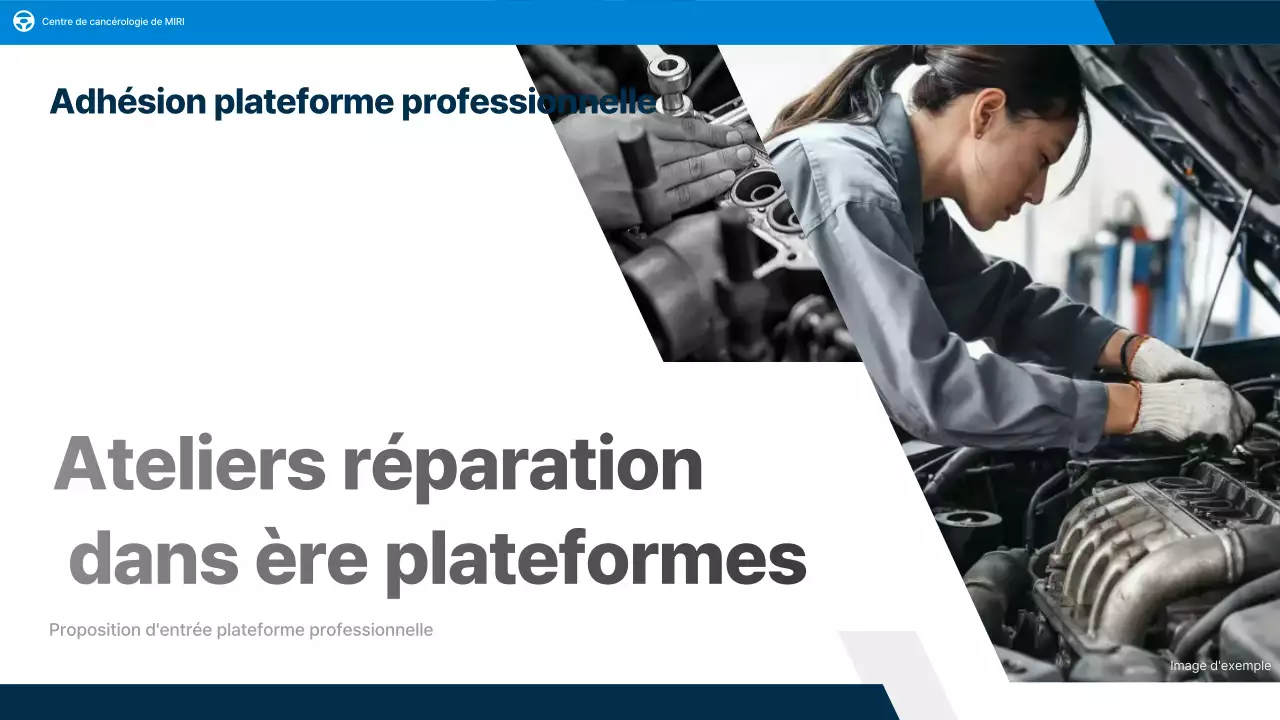 Rapport sur les voitures grises modernes