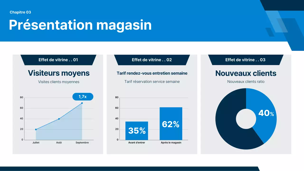 Rapport sur les voitures grises modernes