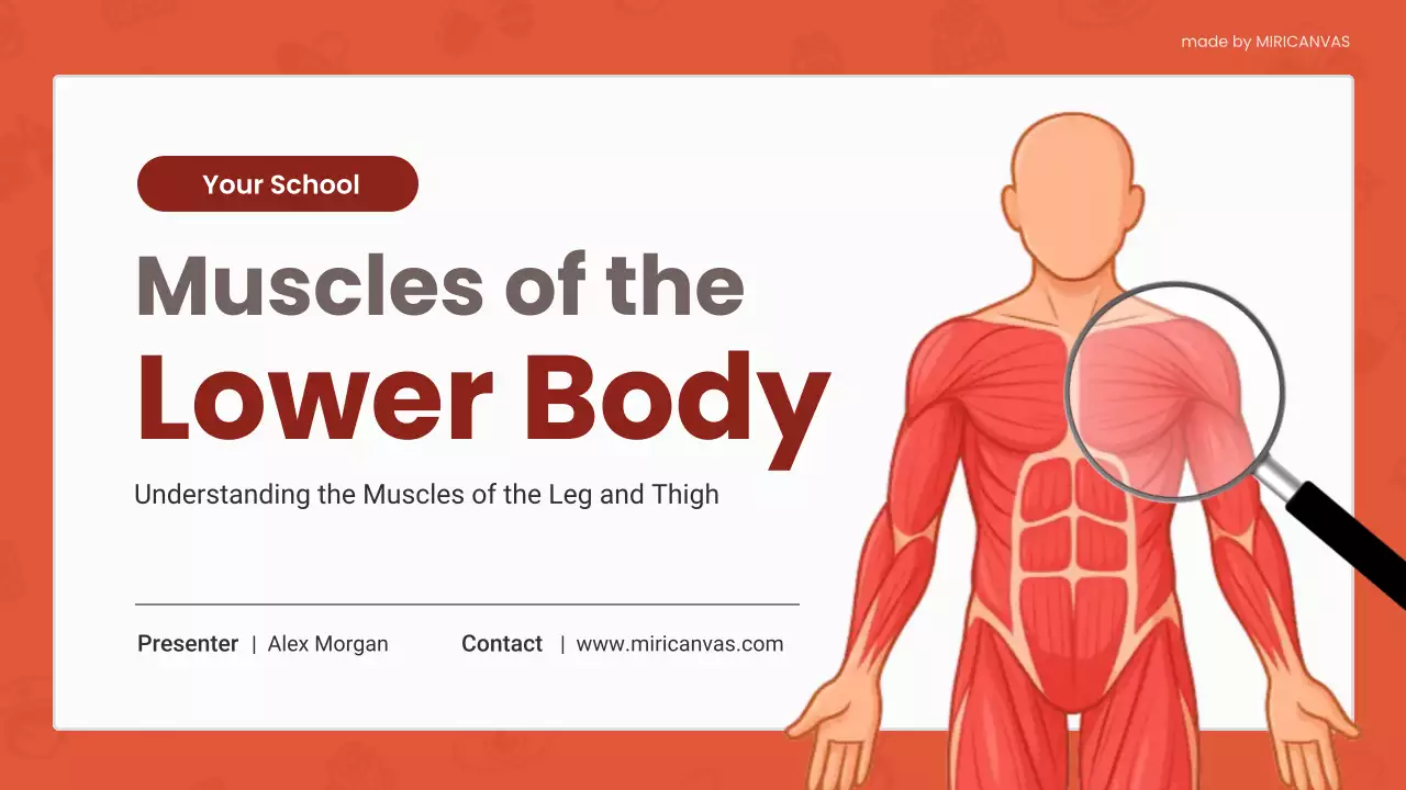 Red Modern Anatomy Lecture Presentation