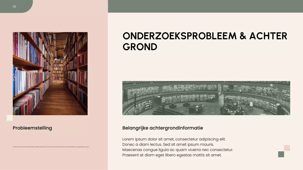 Presentatie van het onderzoeksvoorstel