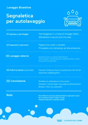 Guida al lavaggio auto Blue Clean