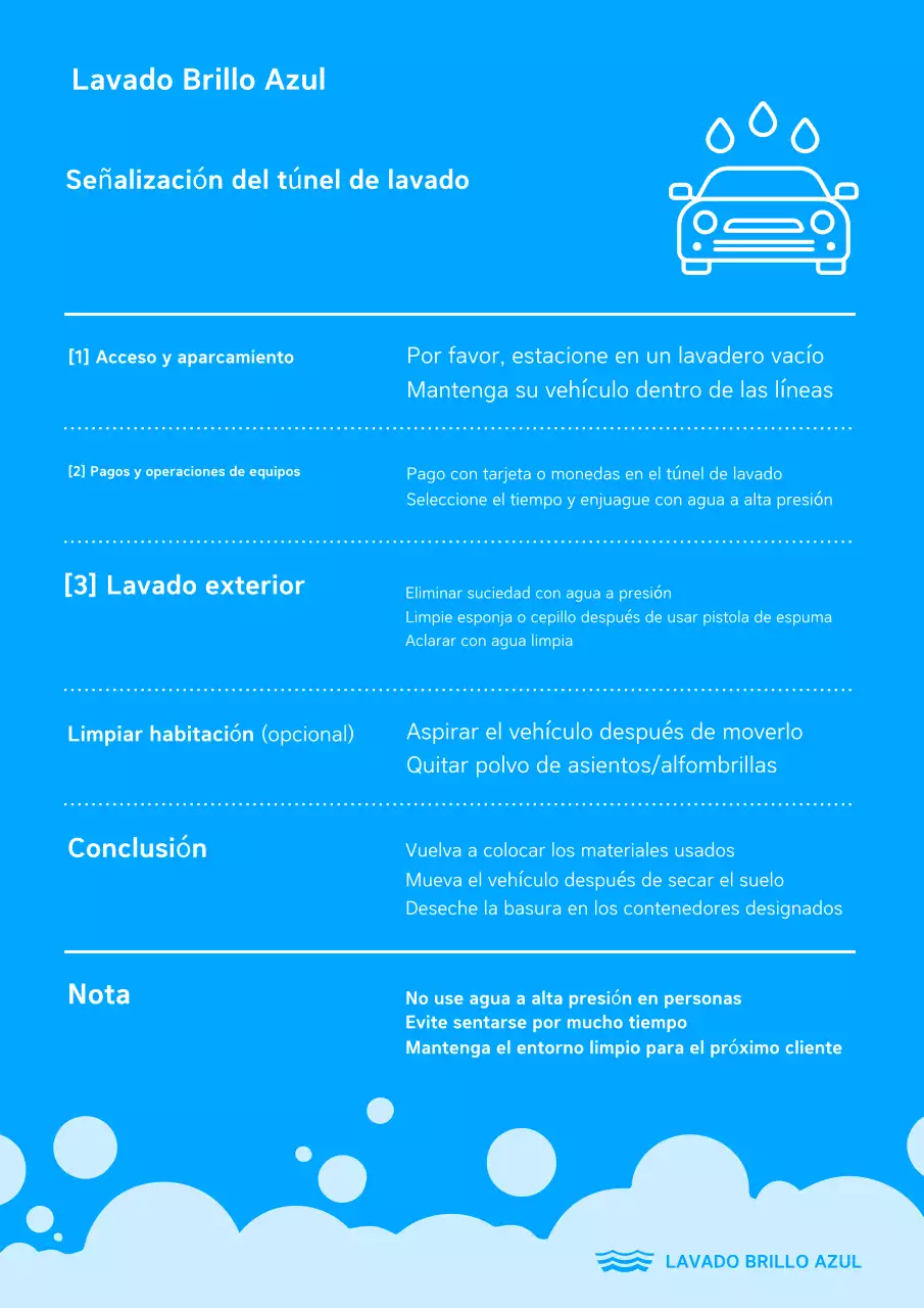 Guía para el lavado de autos Blue Clean
