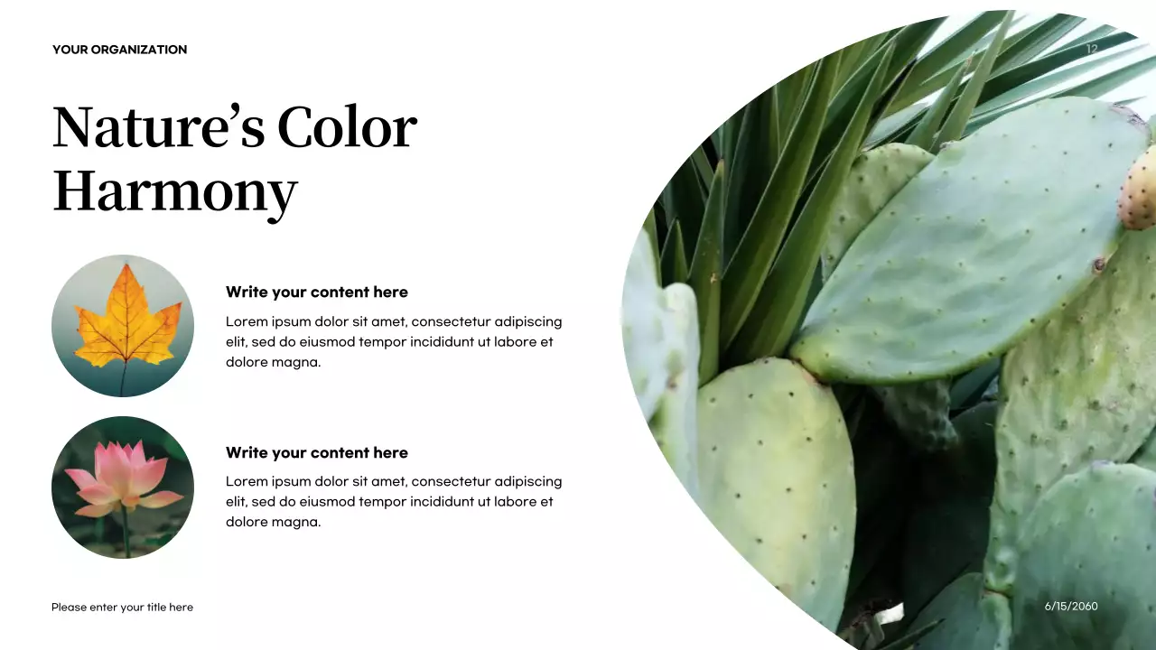 Orange Abstract Colors in Nature Introduction Presentation