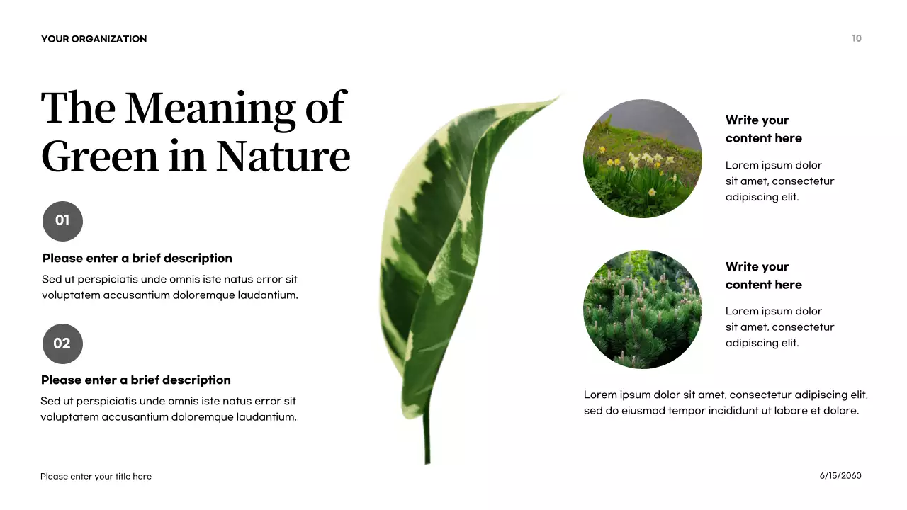 Orange Abstract Colors in Nature Introduction Presentation