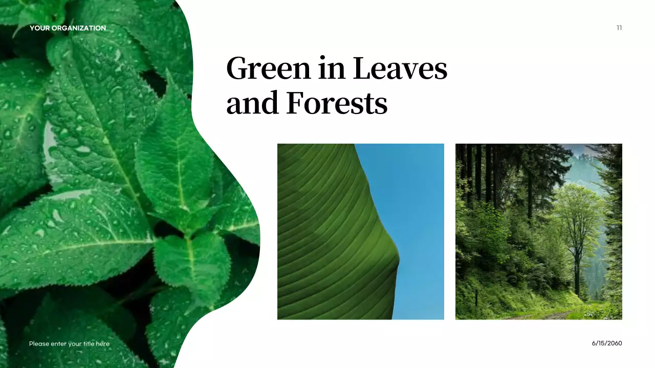 Orange Abstract Colors in Nature Introduction Presentation