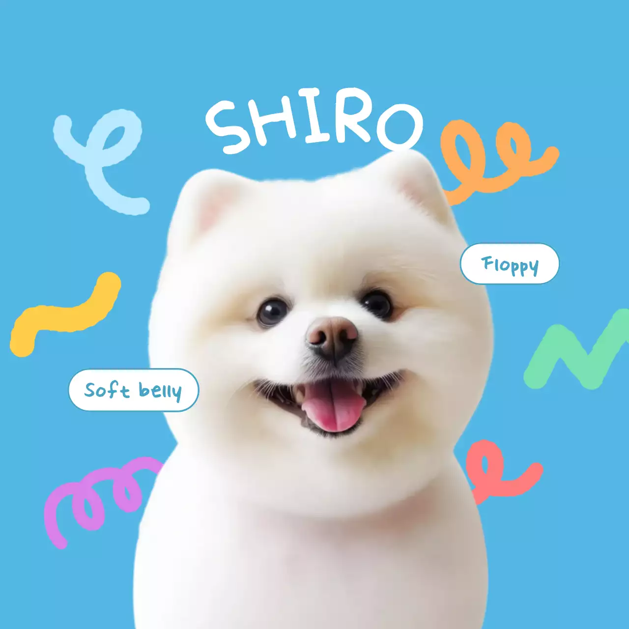 青 白 かわいい ペット コースター