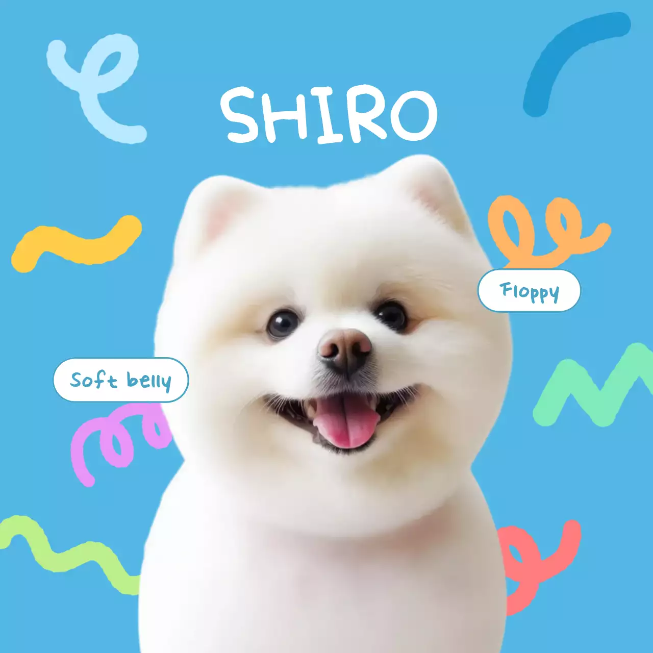 青 白 かわいい ペット コースター