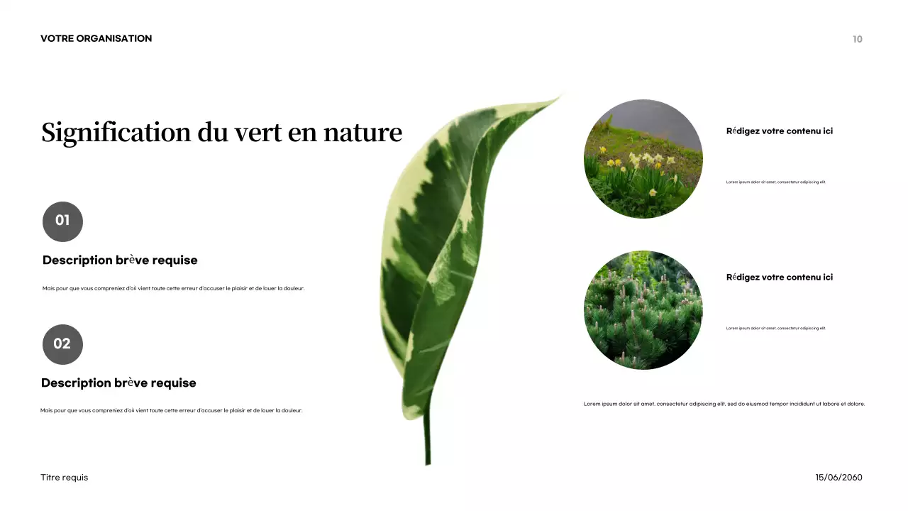 Présentation d'introduction à la nature abstraite orange