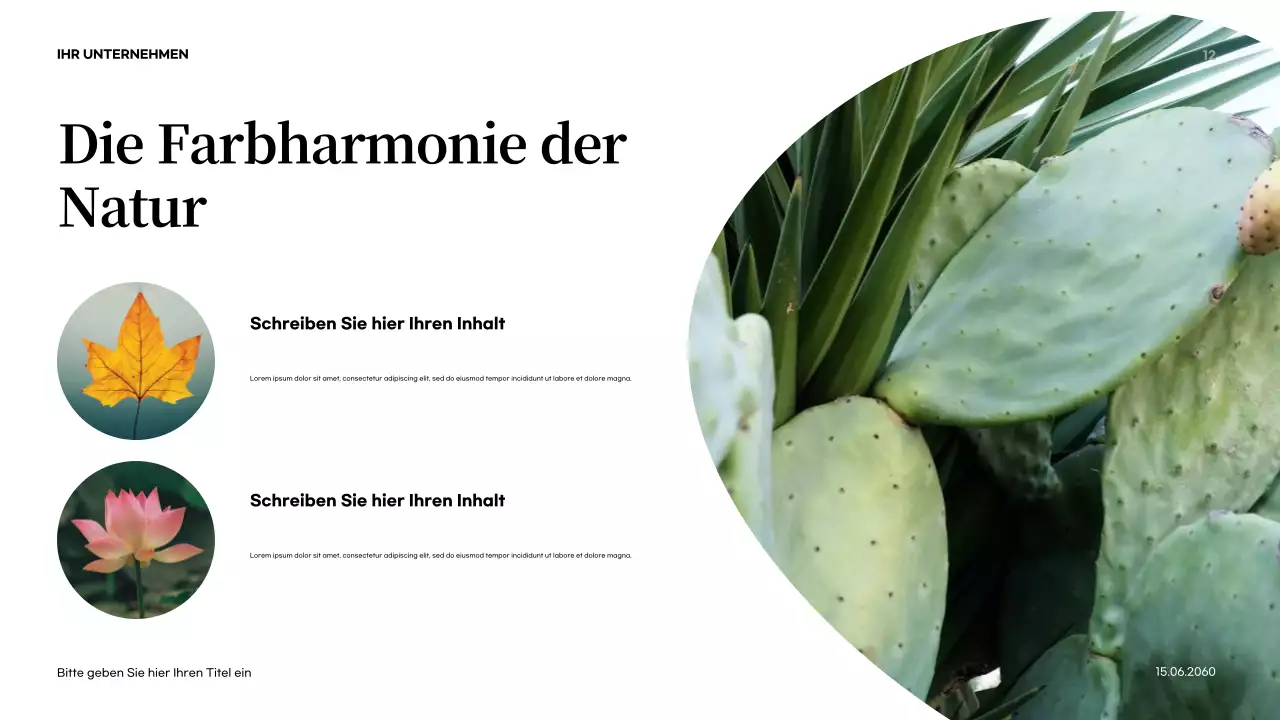 Orange Abstrakte Natur Einführung Präsentation