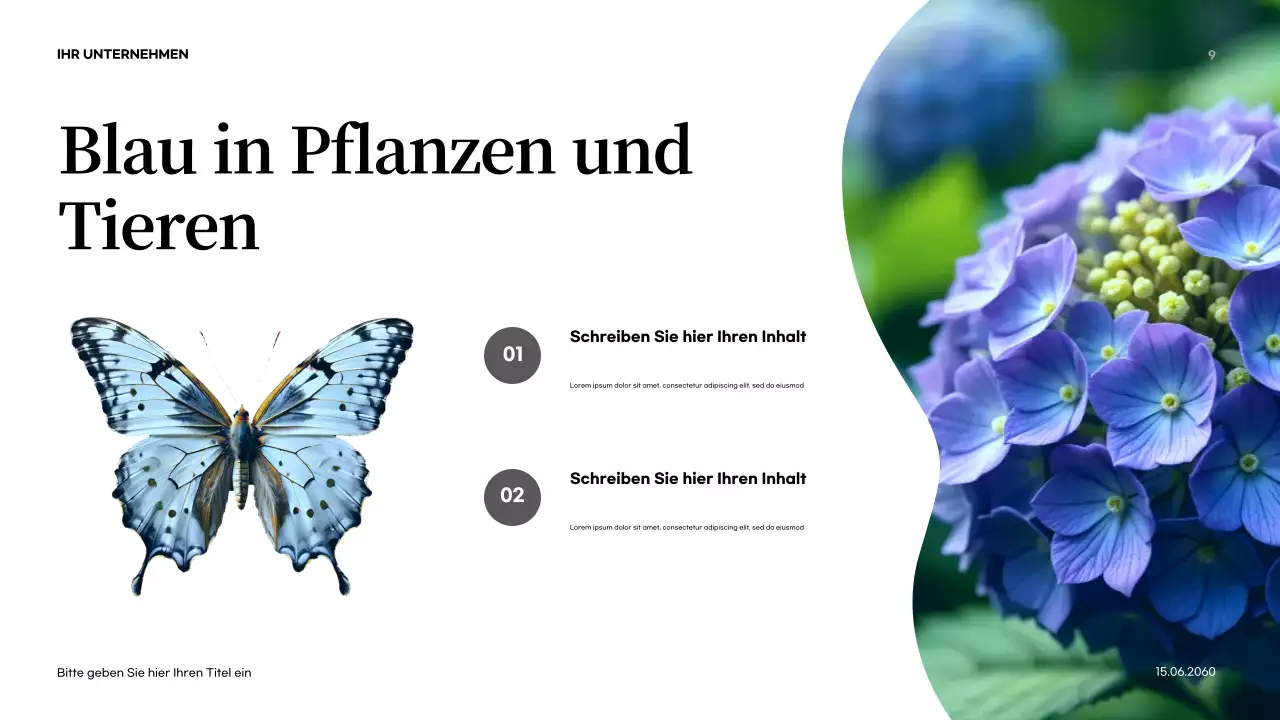 Orange Abstrakte Natur Einführung Präsentation