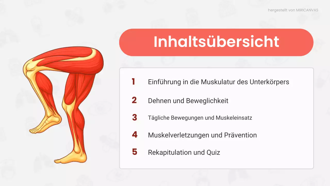 Rote Vorlesung zur modernen Anatomie Präsentation
