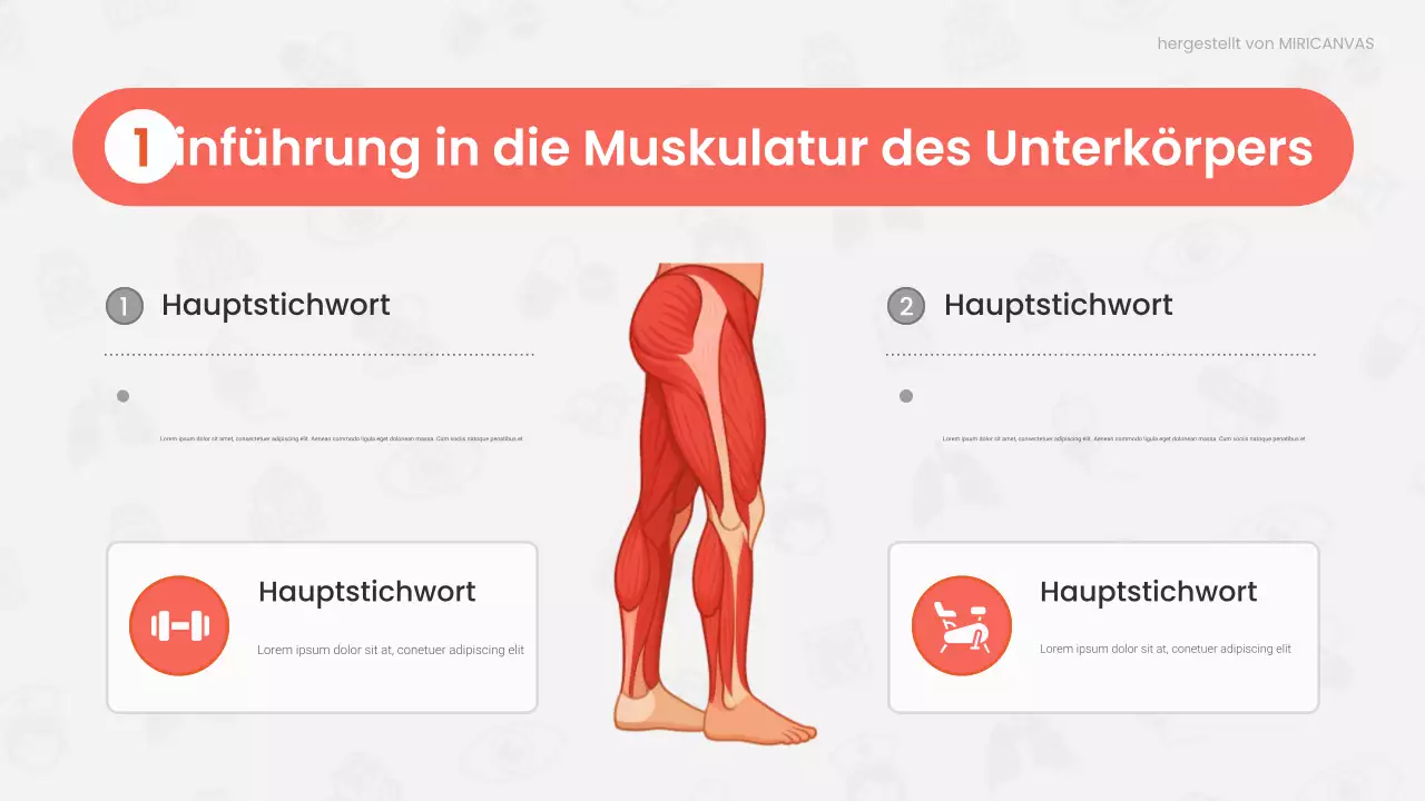 Rote Vorlesung zur modernen Anatomie Präsentation