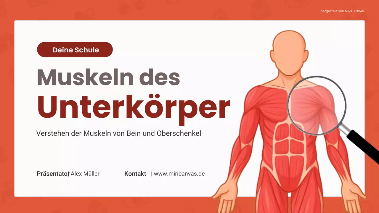 Rote Vorlesung zur modernen Anatomie Präsentation