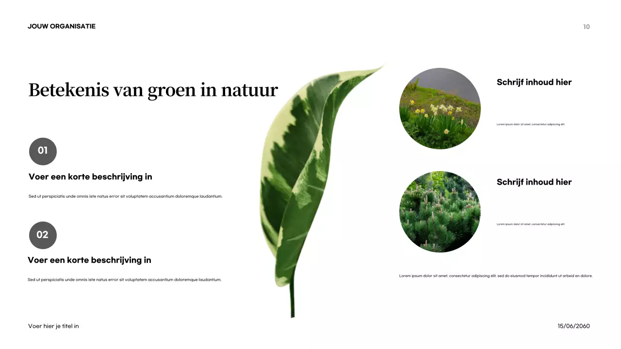 Oranje Abstracte Natuur Introductie Presentatie