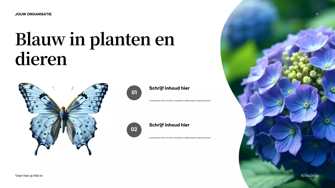 Oranje Abstracte Natuur Introductie Presentatie