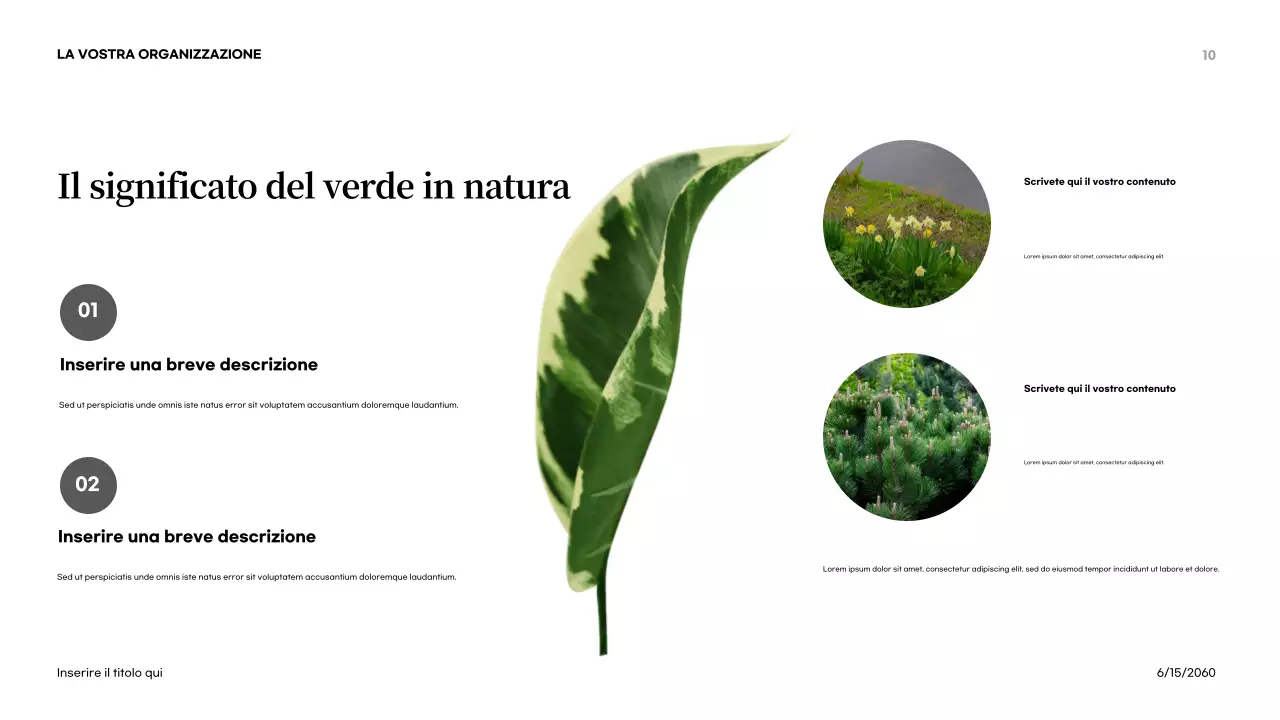 Presentazione introduttiva sulla natura astratta arancione