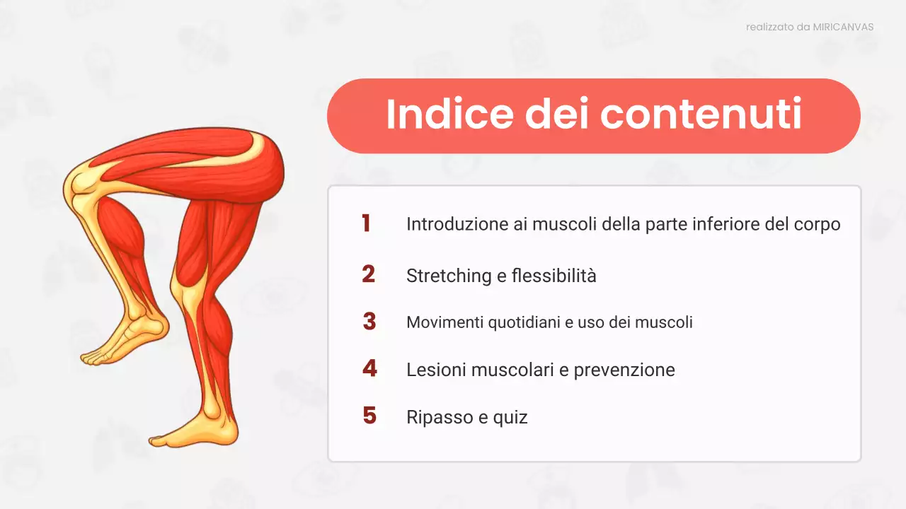 Presentazione della lezione di anatomia moderna rossa