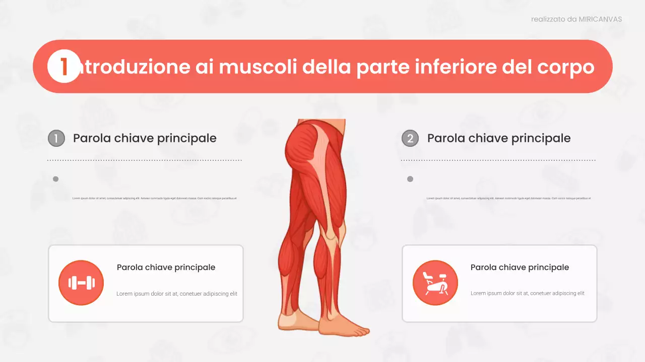 Presentazione della lezione di anatomia moderna rossa