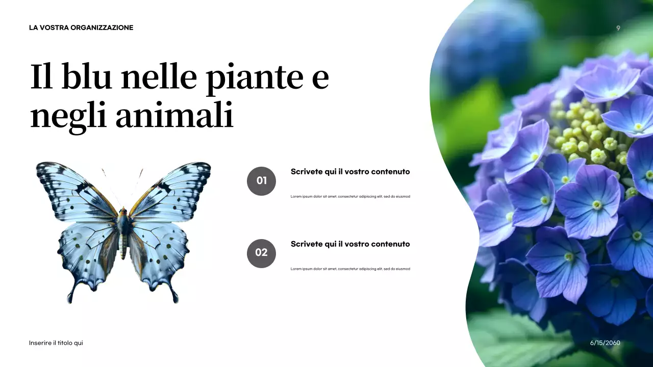 Presentazione introduttiva sulla natura astratta arancione