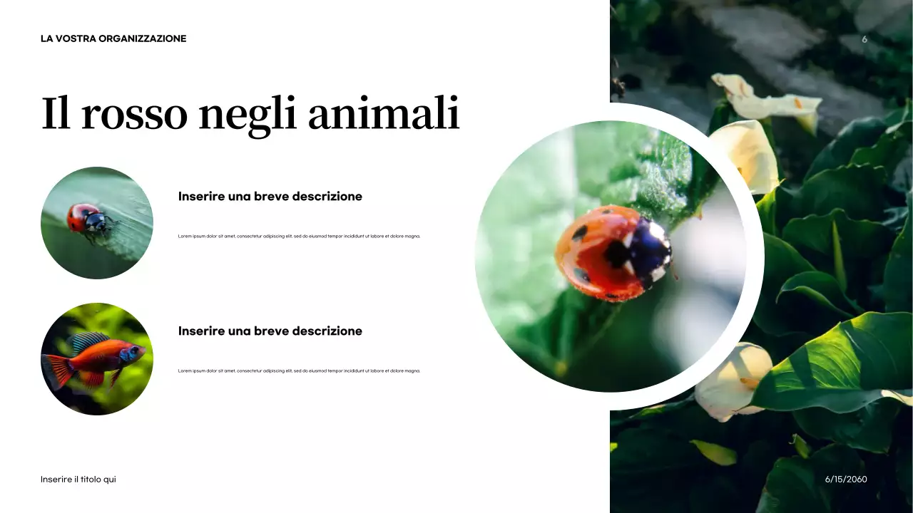 Presentazione introduttiva sulla natura astratta arancione