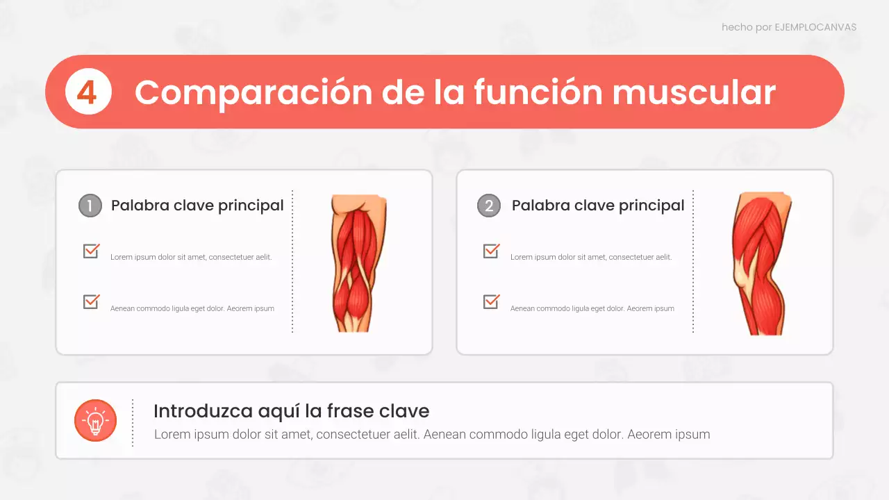 Presentación de la conferencia sobre anatomía moderna roja
