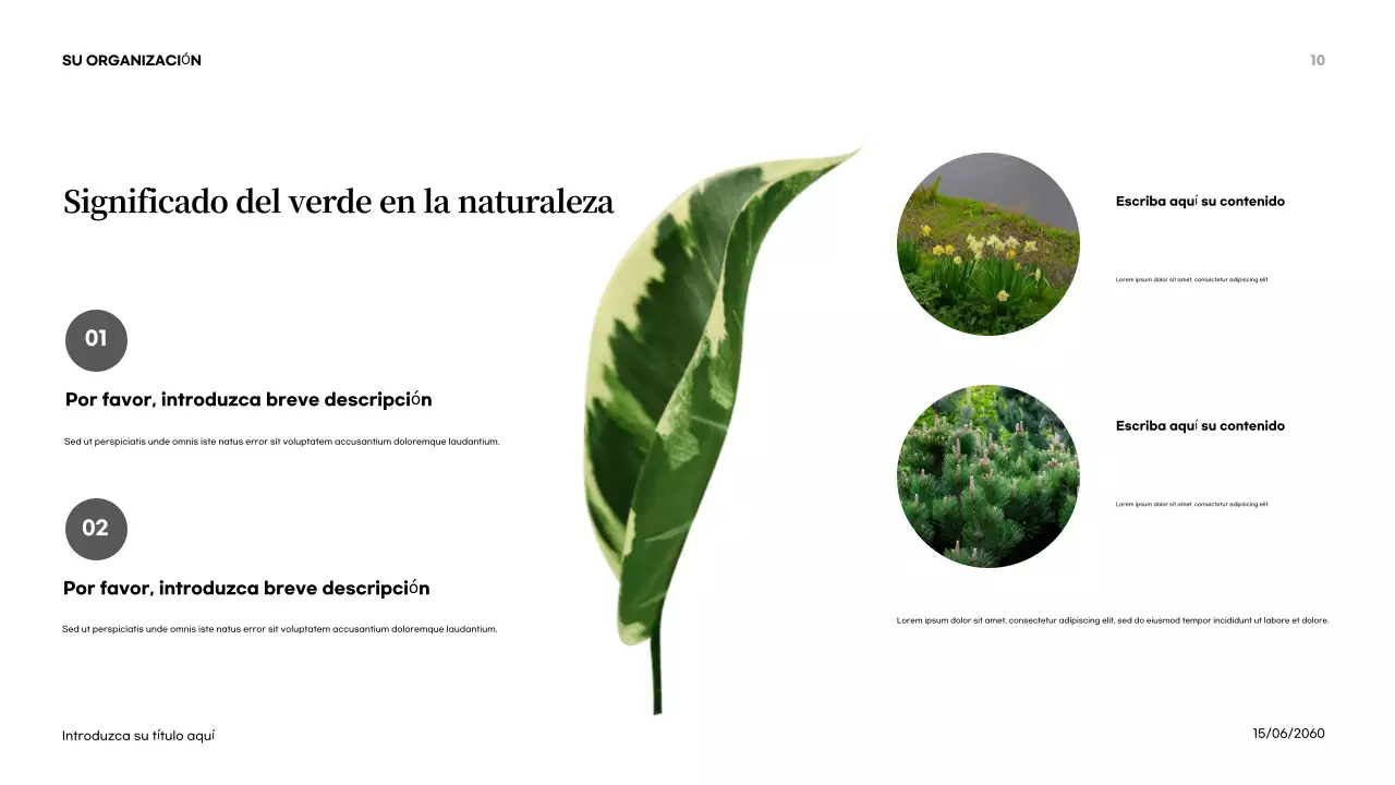 Presentación de introducción a la naturaleza abstracta naranja