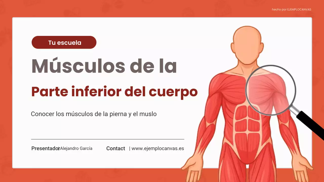 Presentación de la conferencia sobre anatomía moderna roja